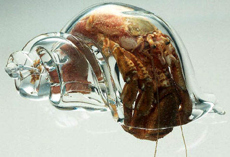 shell