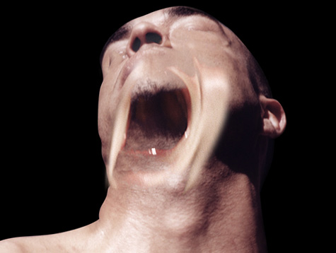 yawns
