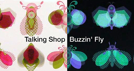 Talking Shop with Buzzin' Fly