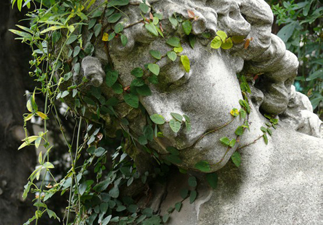 m80n6duew11qbsrwpo1_1280