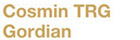 Cosmin TRG, Gordian